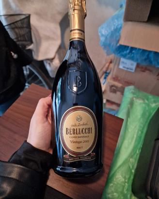 Berlucchi Brut Vintage 2005