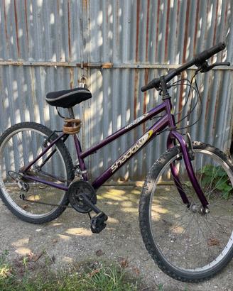 Bicicletta