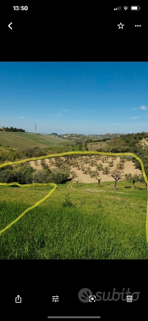 Terreno edificabile più uliveto. Casalincontrada - Vista 2