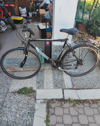 Mountain bike 