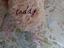 Immagine 4