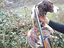 Immagine 5