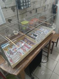 gabbia per canarini