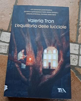 L'equilibrio delle lucciole