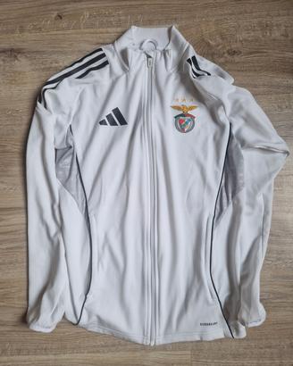 Giacca tuta di rappresentanza Adidas Benfica