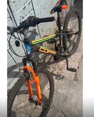 Bici normale