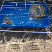 Gabbietta per animali