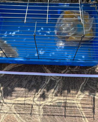 Gabbietta per animali