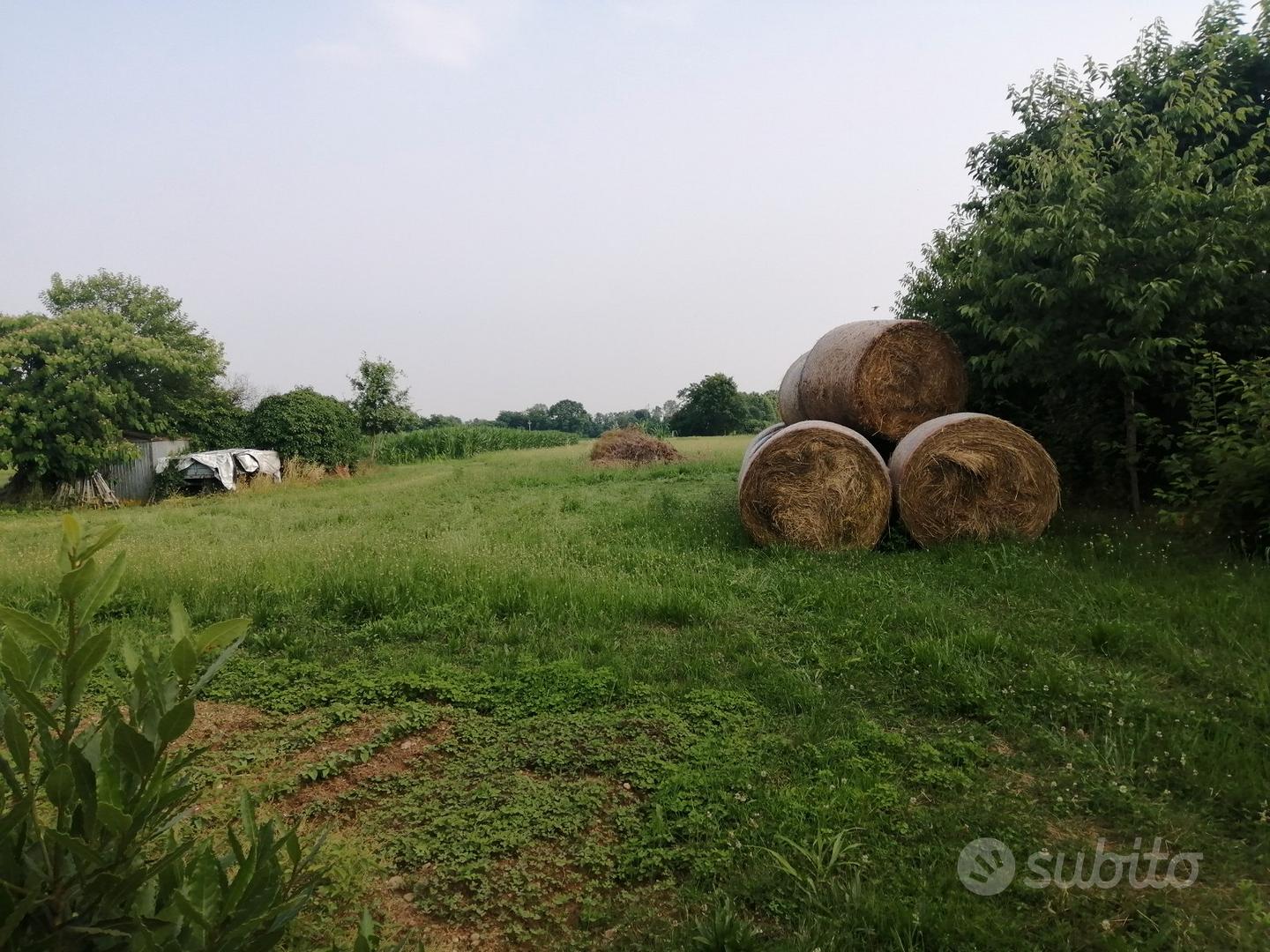 Terreno edificabile e agricolo a Orgnano (UD) - Vista 5