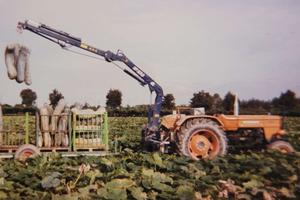 Gru telescopica da pianale o da trattore