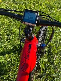 BICI OLYMPIA EX 900 Trail Batteria 900Wh