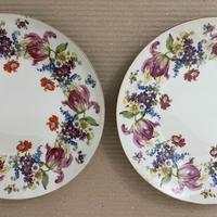 Coppia Piatti Porcellana Bavarese Dekor Bavar