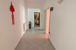 Appartamento Adria [A4753VRG]