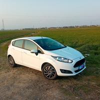 Ford Fiesta 1.4 GPL