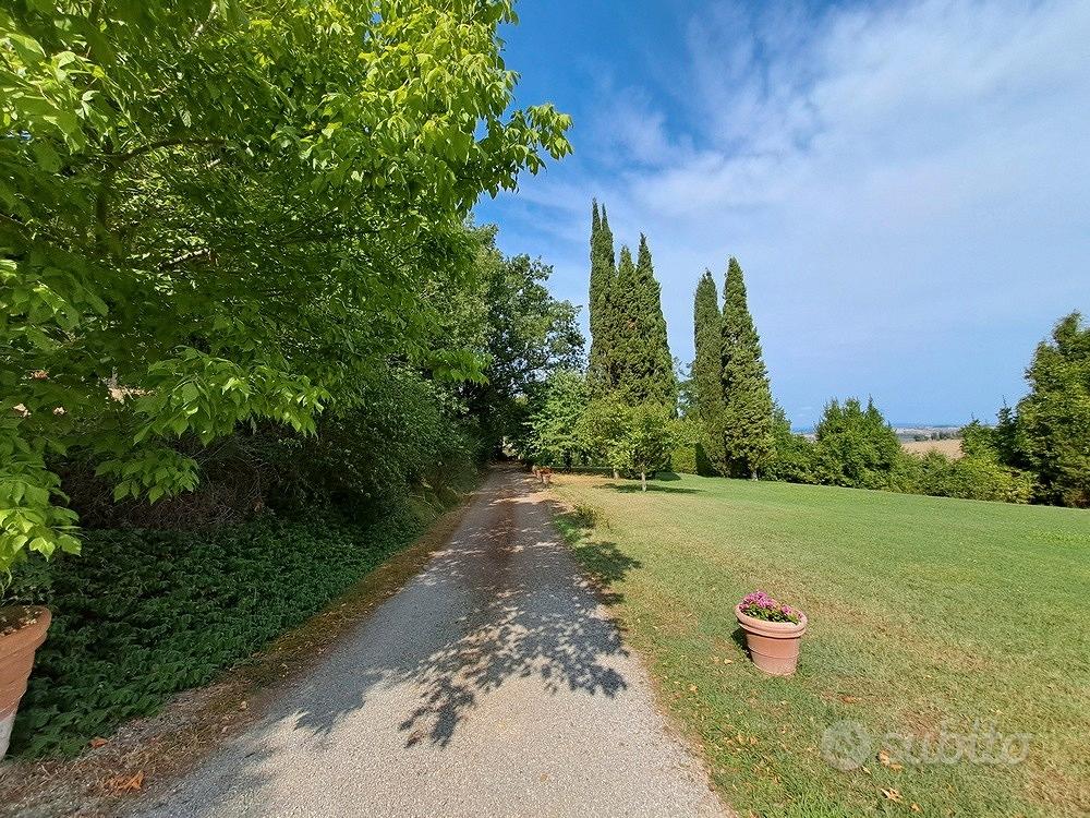 Antico Casale in collina Buonconvento Siena - Vista 3