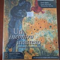 libro un incontro inatteso