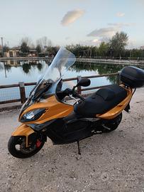 scuterone 300