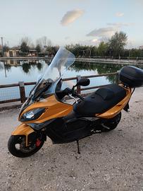 scuterone 300