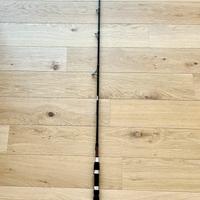 Canna da pesca mono pezzo azione pesante