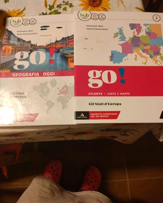 Go! Geografia oggi 2