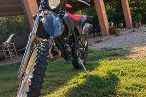 Beta rr 50