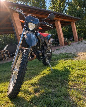 Beta rr 50