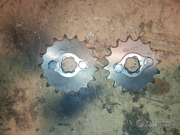 Pignoni da 17 e 16 nuovi