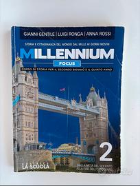 Millenium focus 2