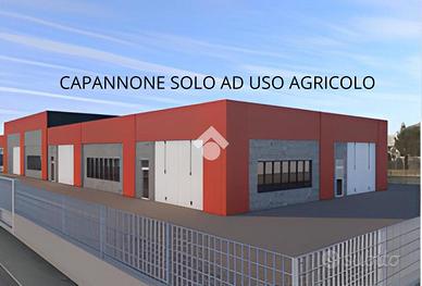 CAPANNONE A VIGODARZERE