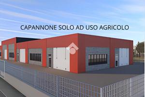 CAPANNONE A VIGODARZERE