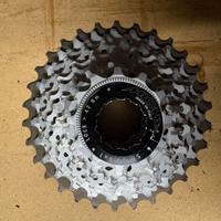 CASSETTA PIGNONI MICHE