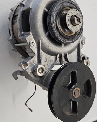 motore cestello miele 