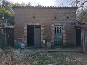 Rimessa agricola con oliveto, cisterna e impianti