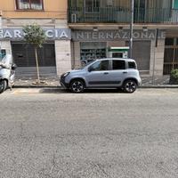 Fiat panda cross