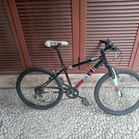 bicicletta ragazzo 10 / 12 anni