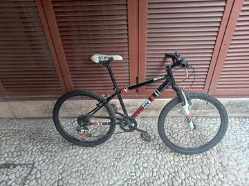 bicicletta ragazzo 10 / 12 anni