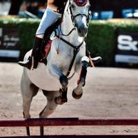 Splendida Pony da salto 2011 classe C