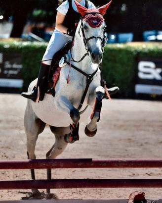 Splendida Pony da salto 2011 classe C