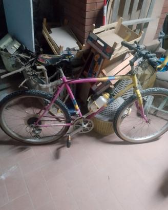 Bici mtb atala