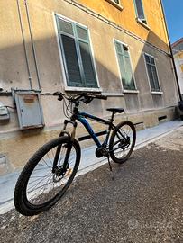 Bici neco