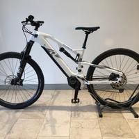 ebike Raymon