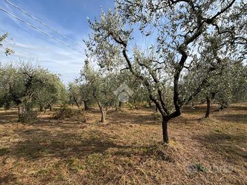 CASA INDIPENDENTE A PISTOIA