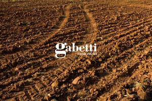 Terreno Agricolo Casalserugo