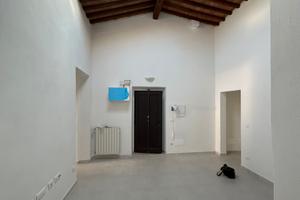 Livorno Ardenza Terra 900 euro