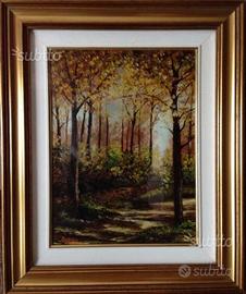 Bruno Portaro: Luci Nel Bosco