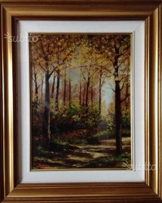 Bruno Portaro: Luci Nel Bosco