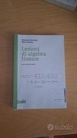 Lezioni di Algebra lineare, Ferrarotti