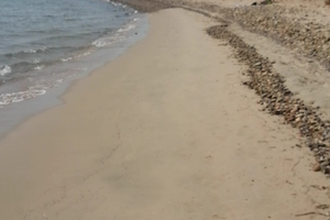 Villa indipendente a 300 metri dalla spiaggia