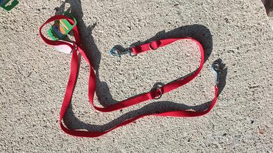 Guinzaglio per cani rosso regolabile PetUp