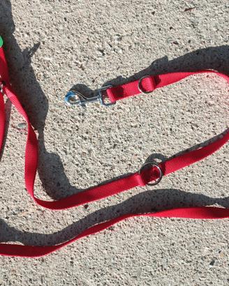 Guinzaglio per cani rosso regolabile PetUp